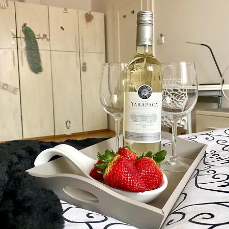 Fantastic Apartment In The City Center プラハ エクステリア 写真